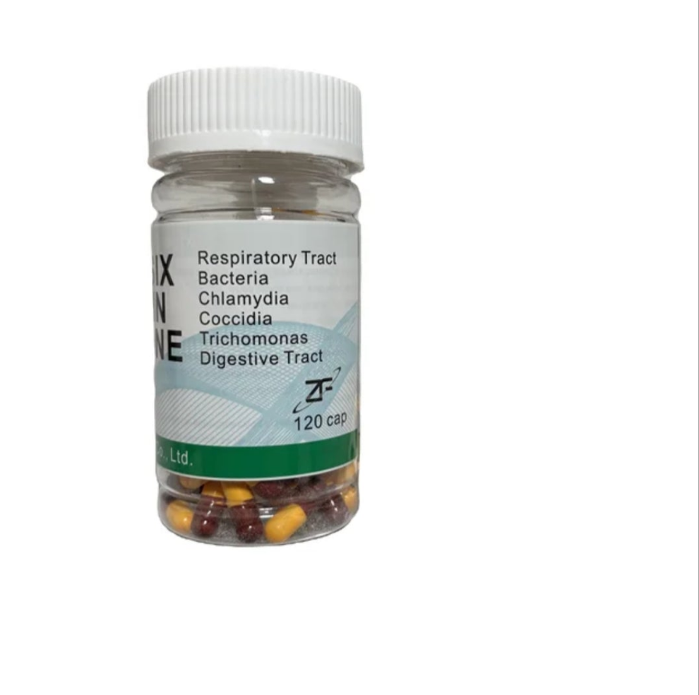 Racing Pigeon Six In One Virus chlamydia coccidium trichomoinfection gastro Poo