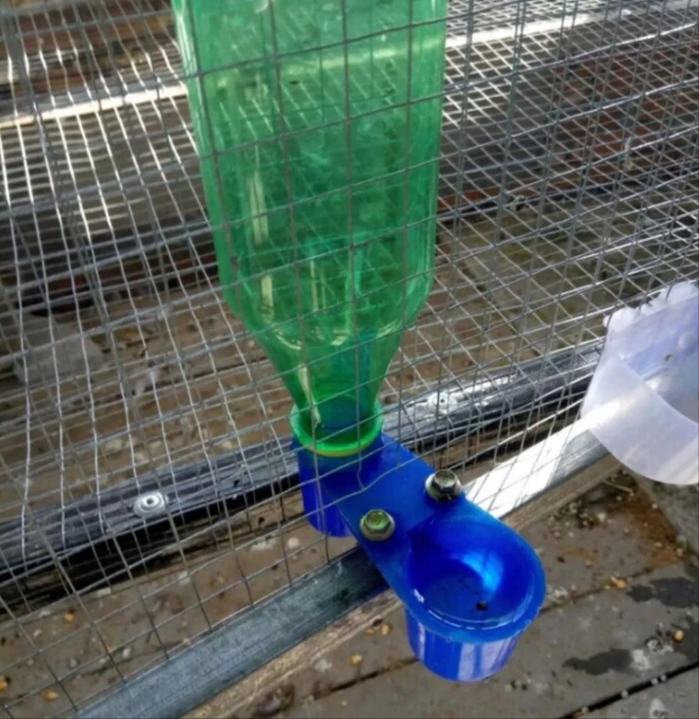 3 x Pigeon bottle drinker cup