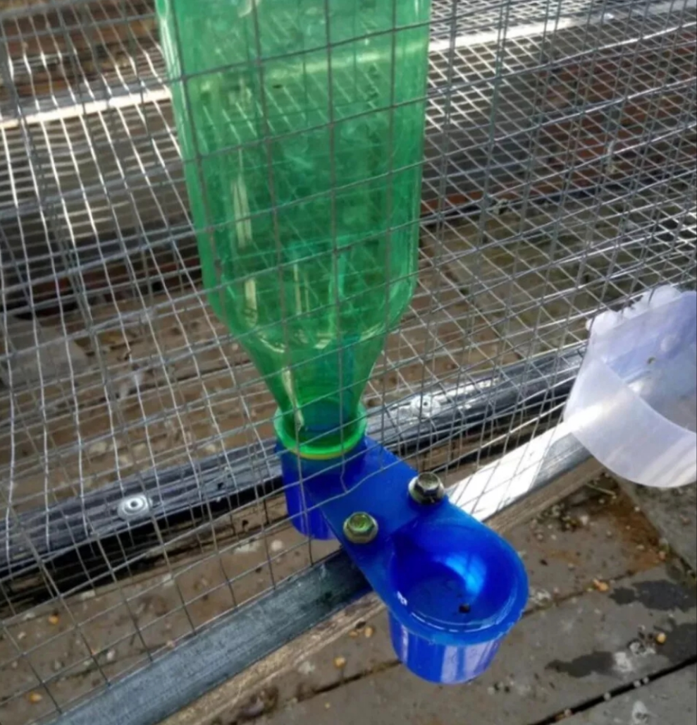 3 x Pigeon bottle drinker cup