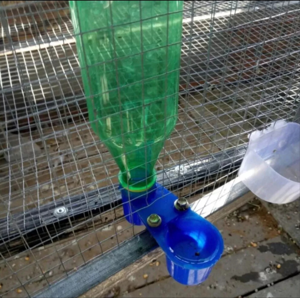 3 x Pigeon bottle drinker cup