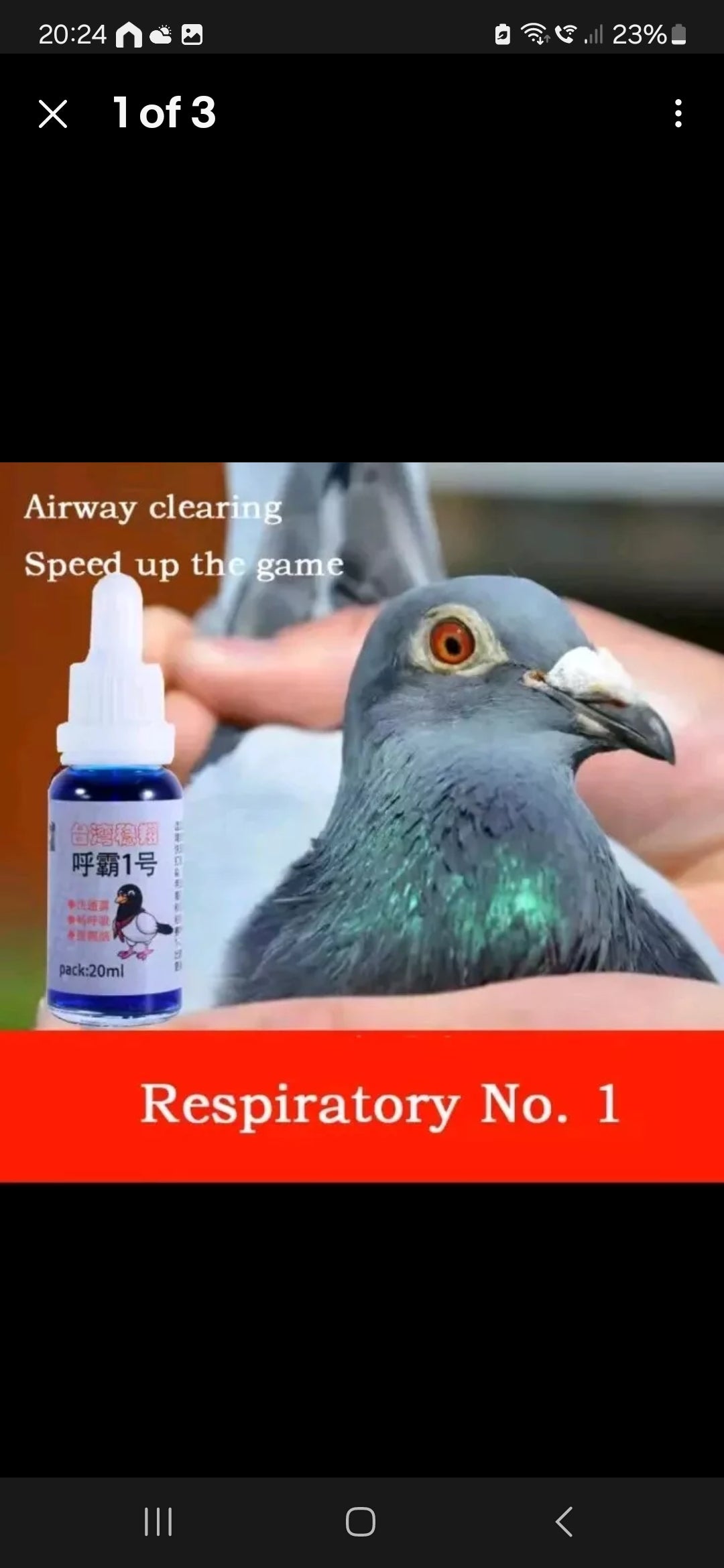 Respiratory tract No. 1 racing pigeon removes mucus in the respiratory tract, breathes the nose and speeds up the race