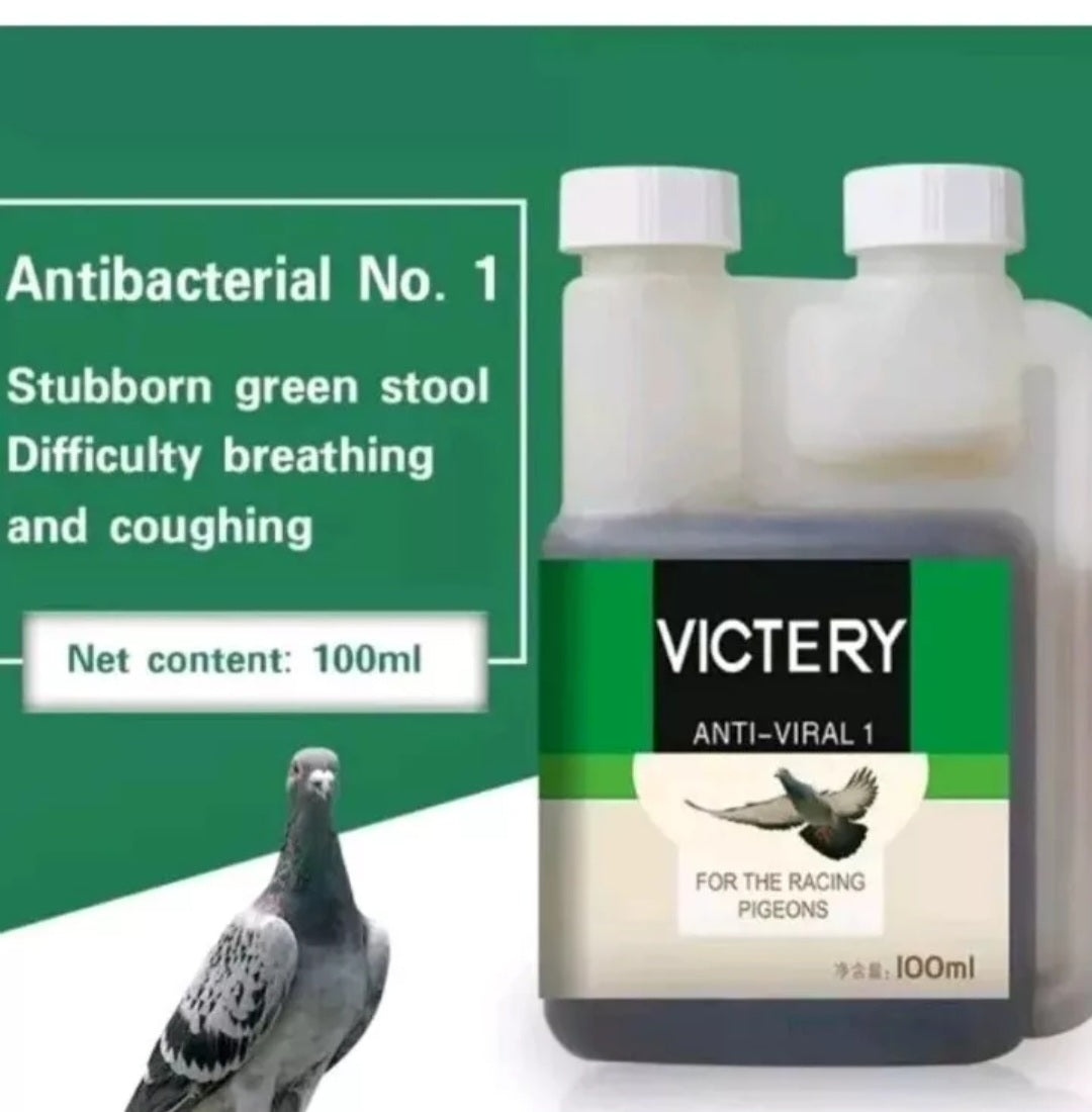 Racing Pigeons Antibacterial Salmonella Escherichia Coli water additive