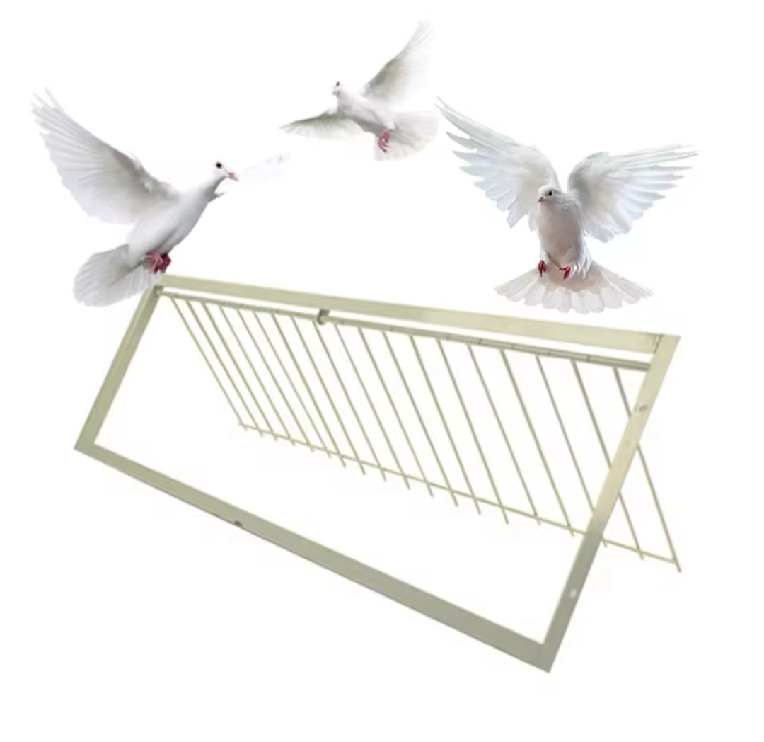 Racing Pigeon 60 x 26cm trap door