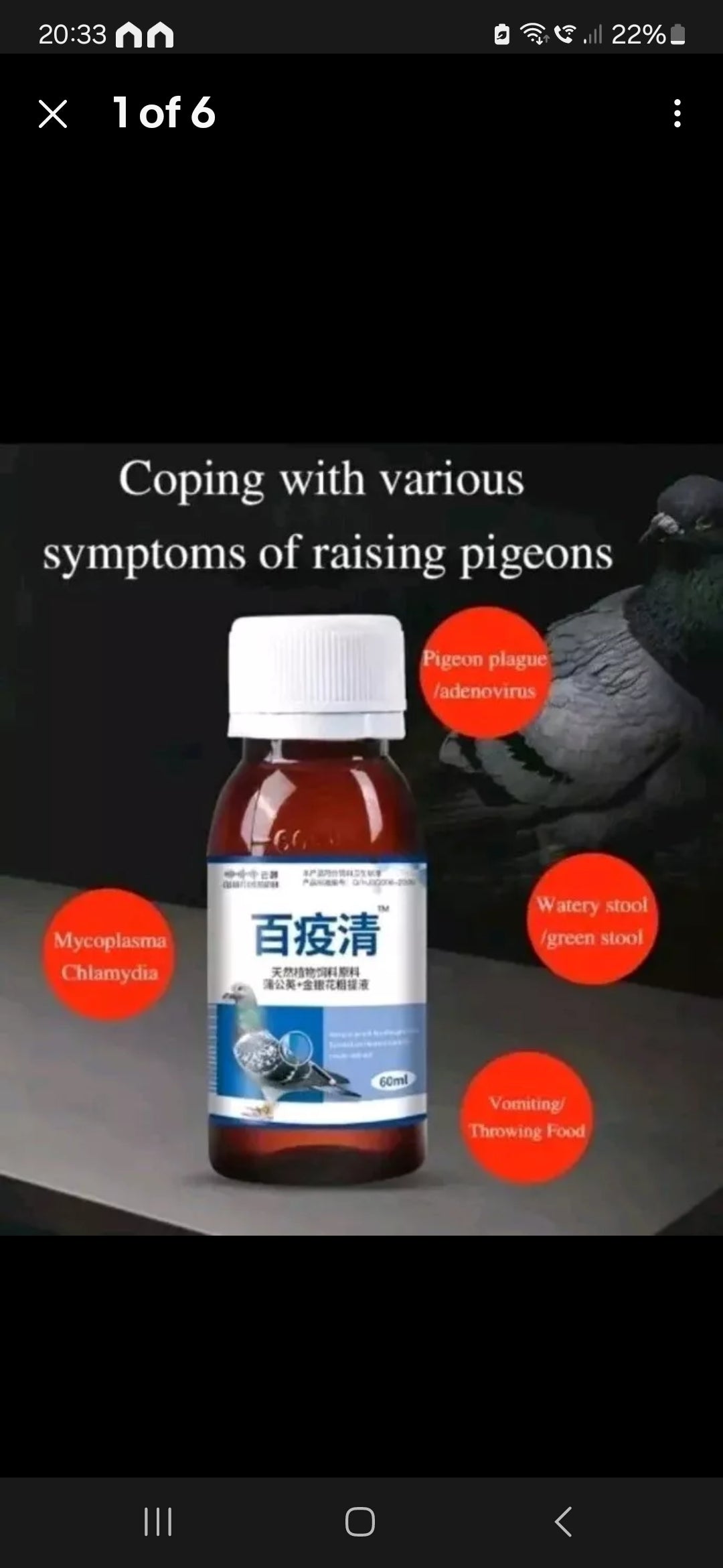 Dysentery pigeon flu, pigeon plague, bursitis,
Newcastle disease, pigeon pox, adenovirus,
paratyphoid fever, crooked neck and other viral
diseases